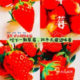 一口接一口，沉溺在草莓甜香里，🍓🍓🍓。