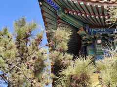 -挂甲禅寺