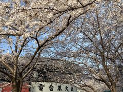 -锦江乐园(地铁站)