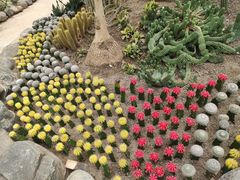-南山植物园