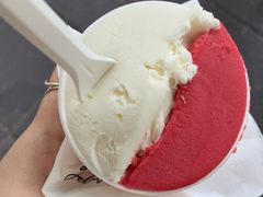 无花果叶-Dip in Gelato(富民路店)
