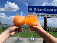 -七的湖·晚芳亭·阳澄湖农家菜·大闸蟹(莲花岛店)