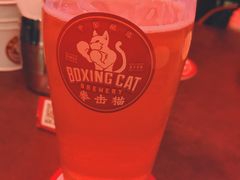 -Boxing Cat Brewery拳击猫精酿啤酒馆(永福店)