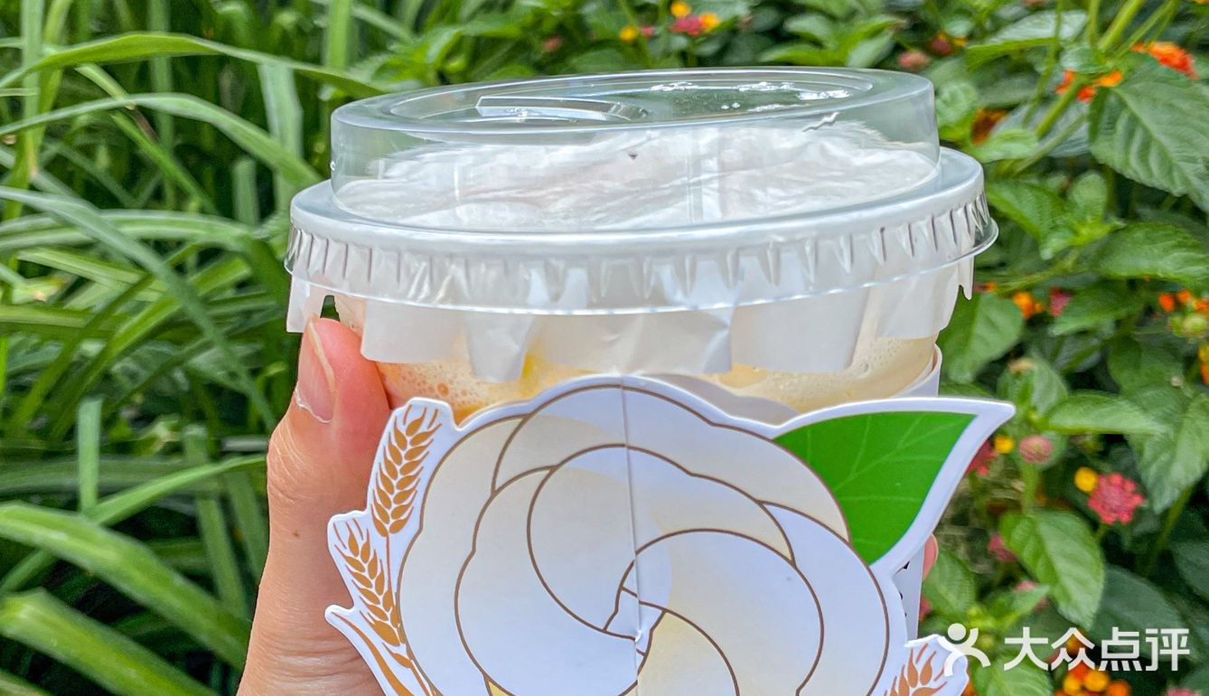 书亦又上新了！橙漫山茶花浪漫到犯规🌸