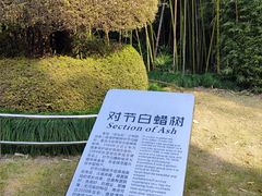 -苏州河梦清园环保主题公园