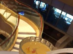 -正佳广场万豪酒店-粤菜餐厅·点心·海鲜·聚餐