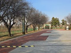 -曹州牡丹园
