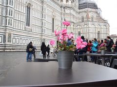 -圣母百花大教堂穹顶