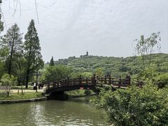 -苏州大学理想眼科医院