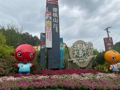 -樱桃山旅游景区