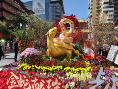 -越秀西湖花市(广州城市广场花卉店)
