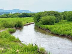 -坝上京北第一草原景区