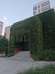 点击看大图 -鼎极摄影(世纪金源店)