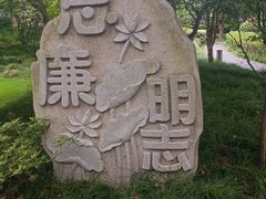 -陈家山荷花公园