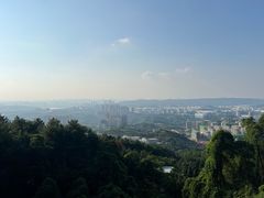 -铁山坪森林公园