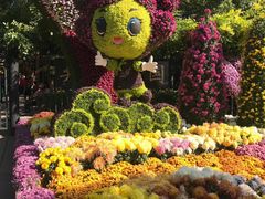 -共青国家森林公园-南大门停车场