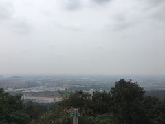 -杭州半山国家森林公园