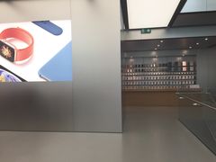 -Apple 零售店(Canton Road)