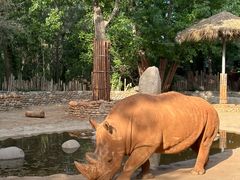 -北京野生动物园