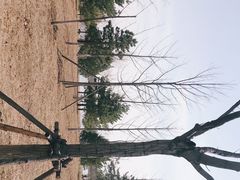 -东郊湿地公园