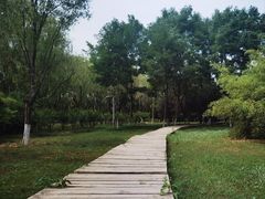 -西安浐灞国家湿地公园