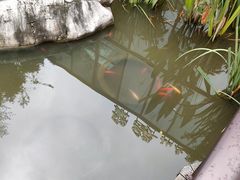 -聚缘堂·海鲜私房菜(松岭路店)