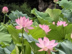 -成都杜甫草堂博物馆