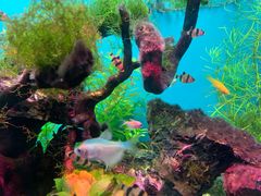 -多彩贵州城极地海洋世界