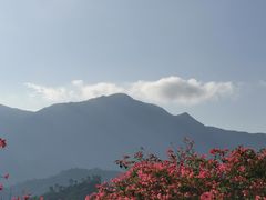 -碧水湾温泉