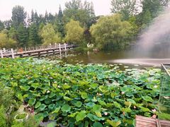 -梅林春晓花园餐厅