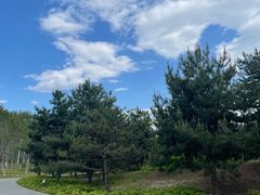 -东郊湿地公园