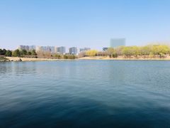 -大兴滨河森林公园