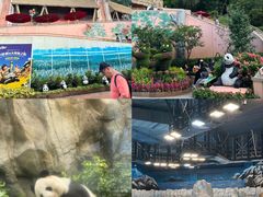 -香港海洋公园