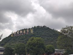 -苗侗地道红酸.酸汤鱼·酸汤牛肉