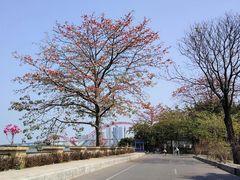 -喜洲吧·江畔老船厂·庭院餐厅(喜临院店)