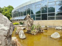 -石家庄市植物园