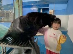 -苏州海洋馆