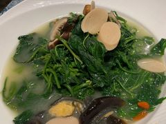 上汤桑叶-巴扎美食·新疆菜·西域歌舞表演餐厅(新疆大厦店)