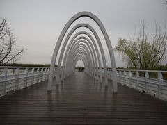 -大兴滨河森林公园