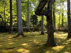 -三千院