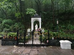 -上海佘山国家森林公园西佘山园