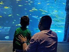 -太平洋海底世界