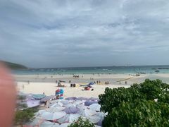 -月光岛