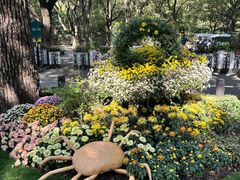 -上海共青森林公园