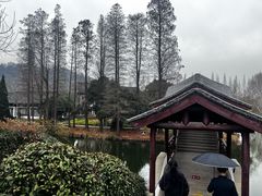 -焦山风景区