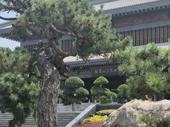 -银雀山汉墓竹简博物馆