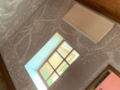 -金山农民画村-枫泾波兰倒置屋