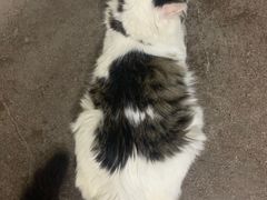 -荔康动物医院(康王北路店)