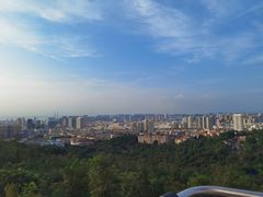 -青岛中山公园-索道售票处