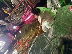 -泉城欧乐堡海洋极地世界